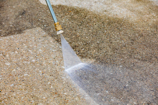 Best Sidewalk and Walkway Cleaning  in Frankton, IN